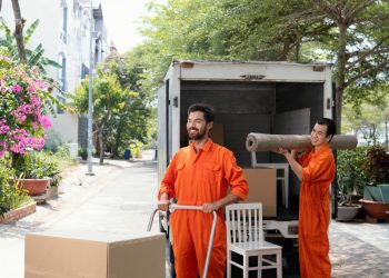 Profesional Movers In Dubai