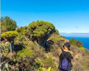 Tasmanian Travel: Guide to the Bay of Fires