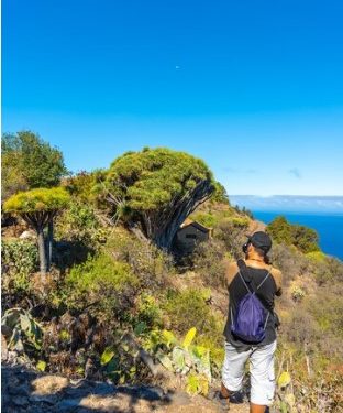 Tasmanian Travel: Guide to the Bay of Fires