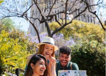 Discover Top 대전op사이트 Picks | Explore Now.