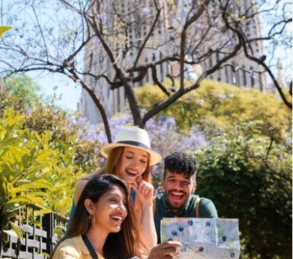 Discover Top 대전op사이트 Picks | Explore Now.