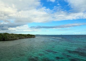 The Bioluminescent Bays of Puerto Rico: A Nighttime Kayaking Experience