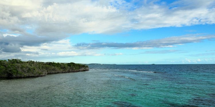 The Bioluminescent Bays of Puerto Rico: A Nighttime Kayaking Experience