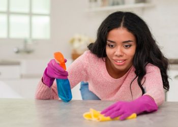 Why Choose Professional Cleaners in London for a Spotless Home?